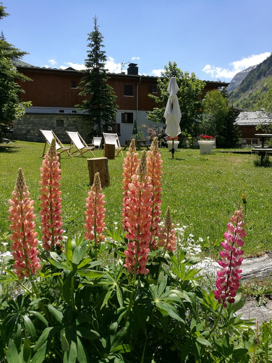 Fleurs sur la Terrasse de l'hôtel Bellier