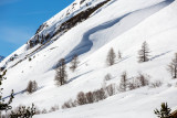 _lv_images__lot_0000370151_13_19345484