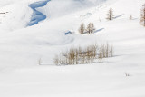 _lv_images__lot_0000720017_14_19352248