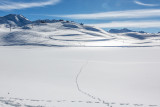 _lv_images__lot_0000730010_14_19346531