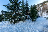 _lv_images__lot_0000950010_08_19338703