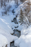 _lv_images__lot_0002340226_13_19343239