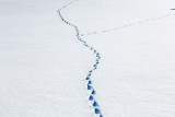 _lv_images__lot_0002340301_14_19346262