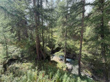_lv_images__lot_0903000243_15_19736863