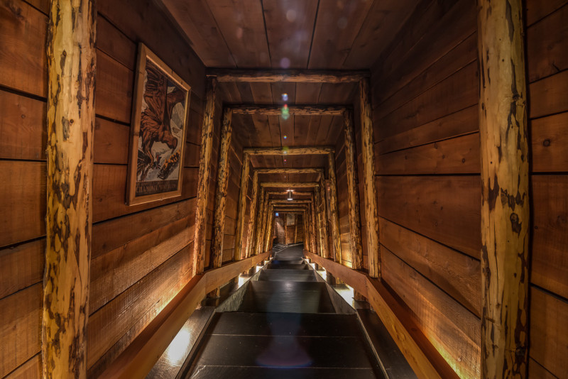 _lv_images__lot_0000000040_14_18311788 _lv_images__lot_0000000040_14_18311788