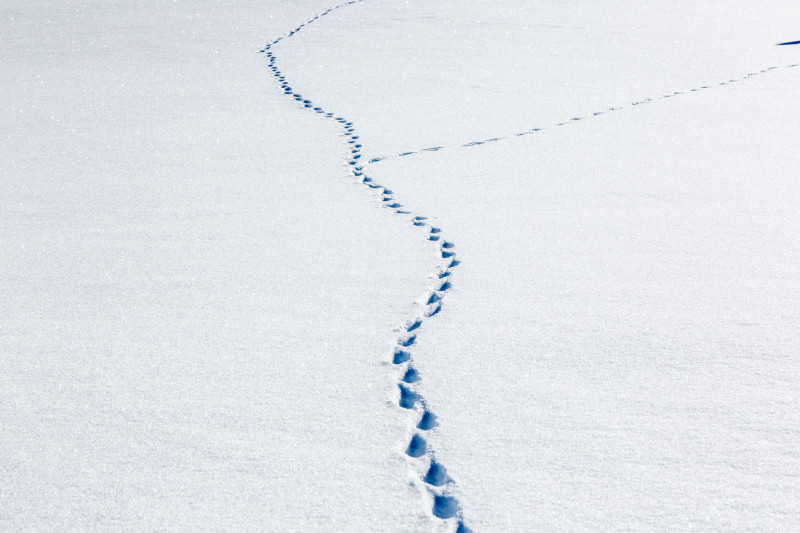 _lv_images__lot_0000120055_14_18487829