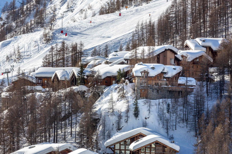 _lv_images__lot_0000250009_11_19330496 _lv_images__lot_0000250009_11_19330496