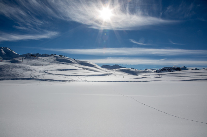 _lv_images__lot_0000250009_13_19330498 _lv_images__lot_0000250009_13_19330498