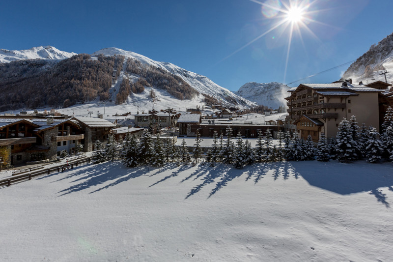 Vue