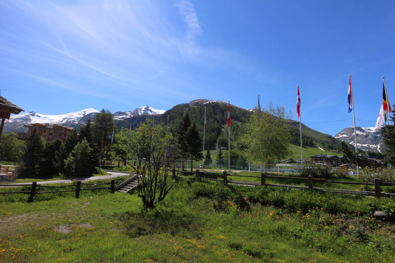 _lv_images__lot_0000300006_14_19337247