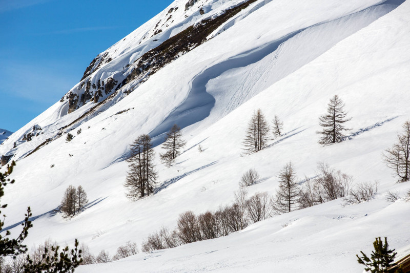 _lv_images__lot_0000370061_13_19330273 _lv_images__lot_0000370061_13_19330273