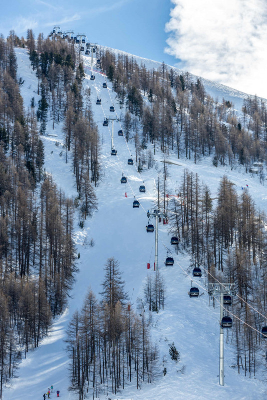 _lv_images__lot_0000370061_14_17786192 _lv_images__lot_0000370061_14_17786192