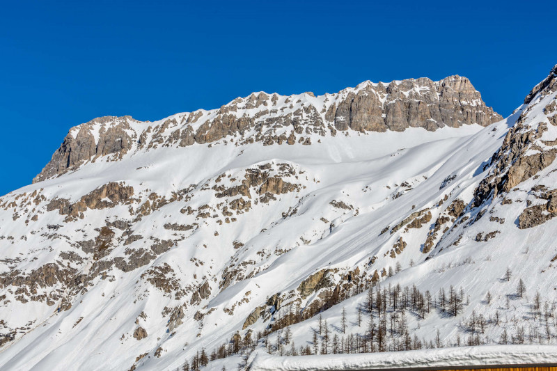 _lv_images__lot_0000370113_15_18574352