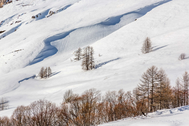 _lv_images__lot_0000380023_12_18183379 _lv_images__lot_0000380023_12_18183379