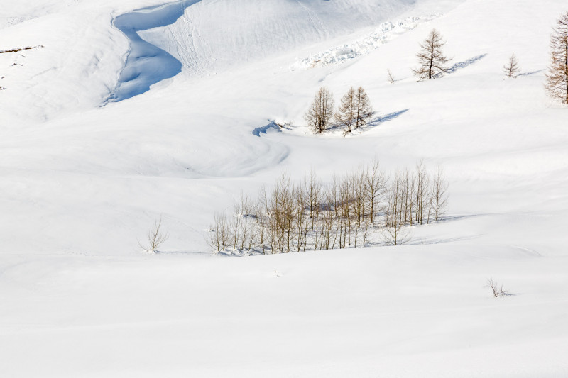 _lv_images__lot_0000720017_14_19326957 _lv_images__lot_0000720017_14_19326957