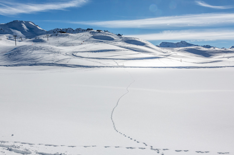 _lv_images__lot_0000730010_14_18307468 _lv_images__lot_0000730010_14_18307468