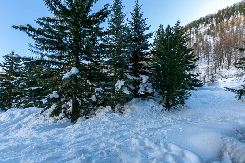 _lv_images__lot_0000950010_08_17411462 _lv_images__lot_0000950010_08_17411462