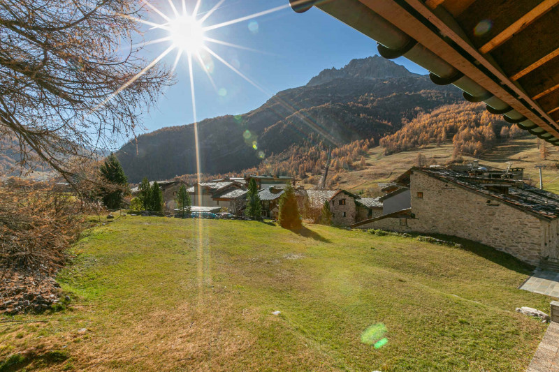 _lv_images__lot_0000980006_11_19329095 _lv_images__lot_0000980006_11_19329095