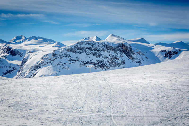 _lv_images__lot_0000980006_15_19329099 _lv_images__lot_0000980006_15_19329099