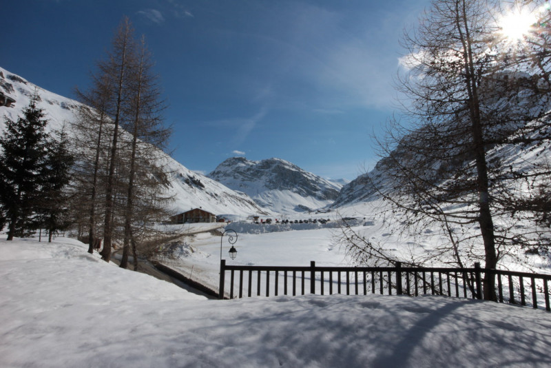 _lv_images__lot_0001080012_12_19326238 _lv_images__lot_0001080012_12_19326238