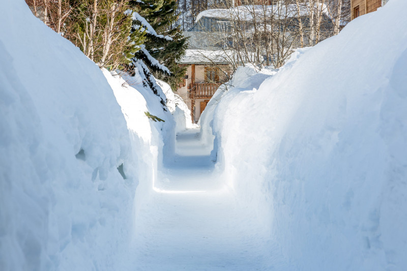 _lv_images__lot_0001120109_15_18067363