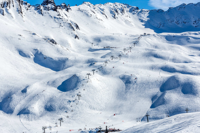 _lv_images__lot_0002340146_14_19329939 _lv_images__lot_0002340146_14_19329939