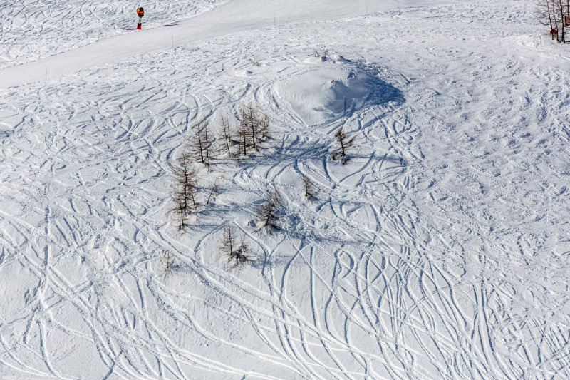 _lv_images__lot_0002340169_14_19337564 _lv_images__lot_0002340169_14_19337564