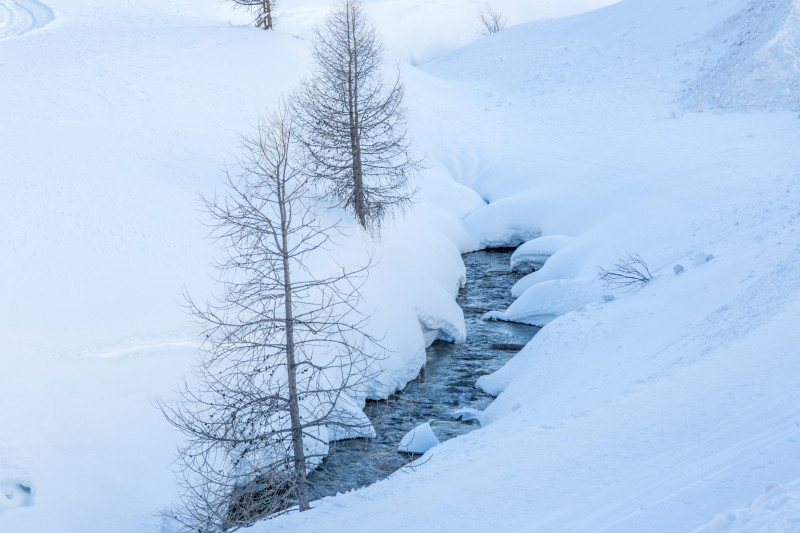 _lv_images__lot_0002340188_12_18360138