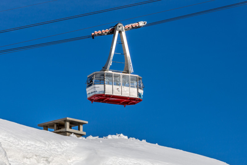 _lv_images__lot_0002340258_12_19334799 _lv_images__lot_0002340258_12_19334799