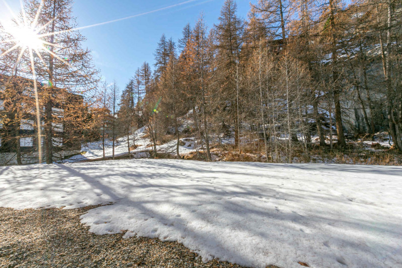 _lv_images__lot_0002340317_12_19338513 _lv_images__lot_0002340317_12_19338513