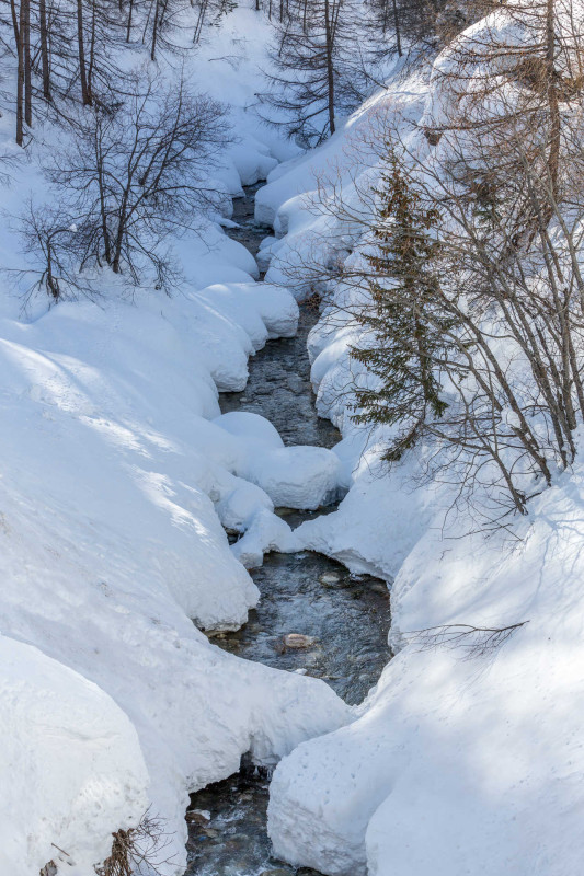 _lv_images__lot_0002340321_14_19326987 _lv_images__lot_0002340321_14_19326987