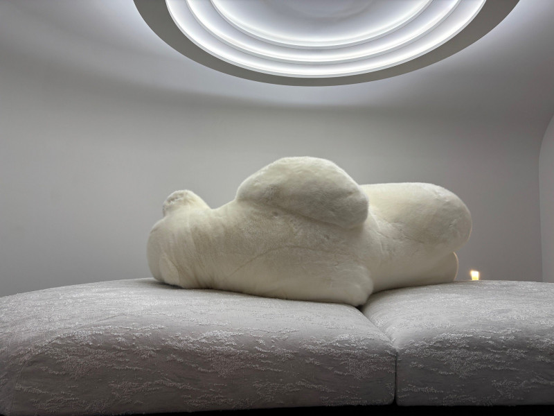 _lv_images__lot_0002340333_15_17407441 _lv_images__lot_0002340333_15_17407441