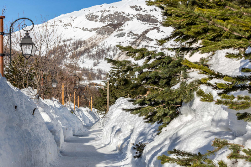 _lv_images__lot_0002340343_13_18003119 _lv_images__lot_0002340343_13_18003119