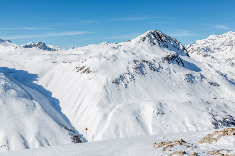 _lv_images__lot_0002340354_11_17299255