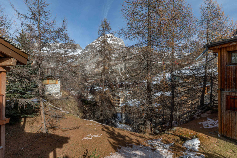 _lv_images__lot_0002340355_15_18668535 _lv_images__lot_0002340355_15_18668535