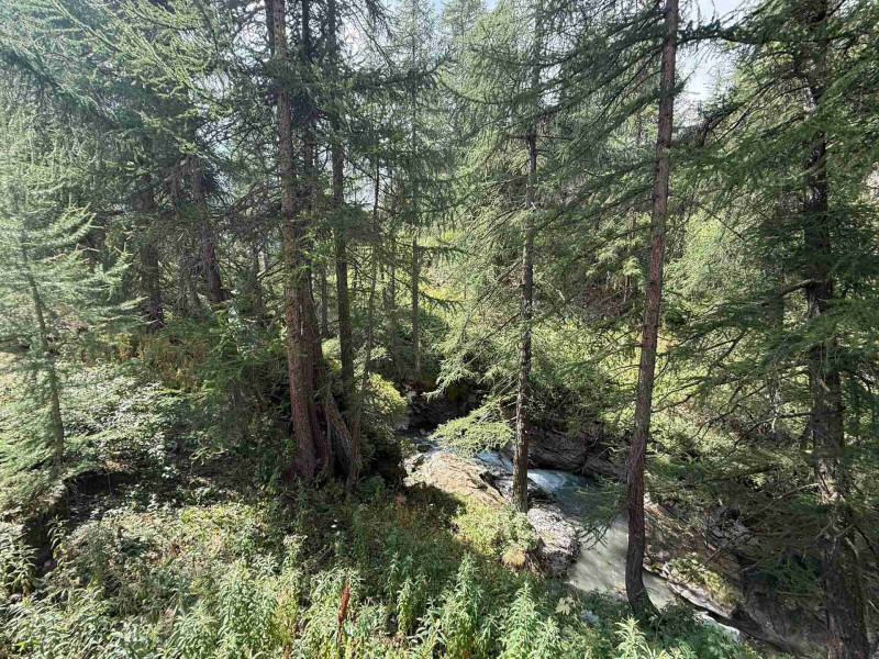 _lv_images__lot_0903000243_15_19520294 _lv_images__lot_0903000243_15_19520294