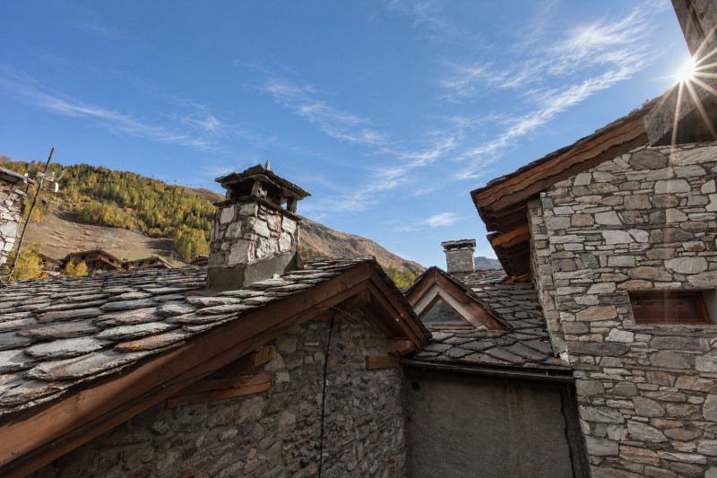 Chalet Barmaz - Marie - Toits de lauzes et cheminées Chalet Barmaz - Marie - Toits de lauzes et cheminées
