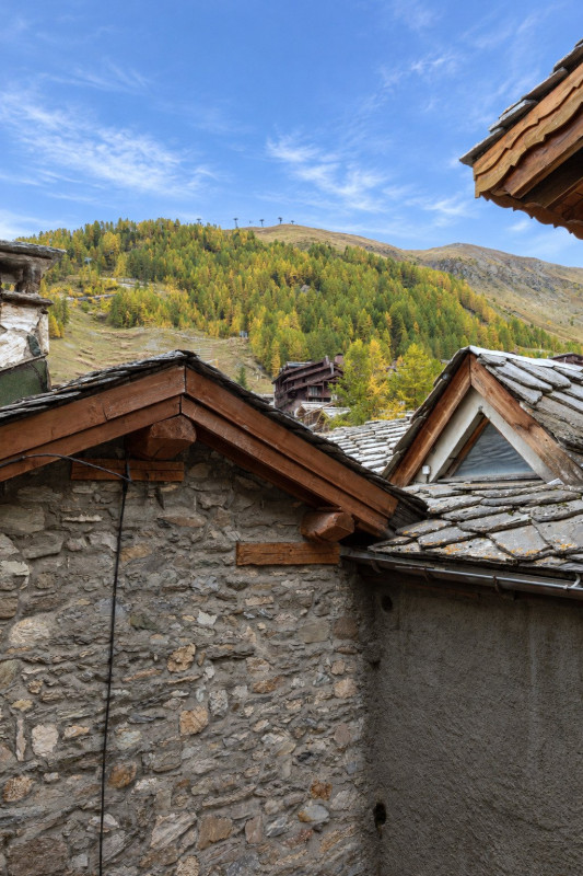 Chalet Barmaz - Marie - Toits de lauze Chalet Barmaz - Marie - Toits de lauze