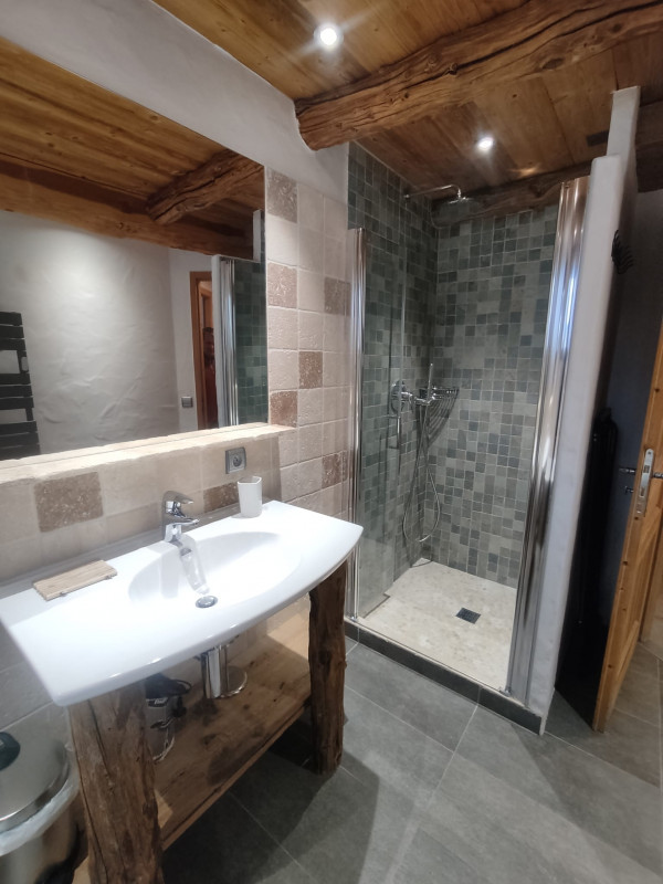 salle-de-bain-principale-douche-17545838