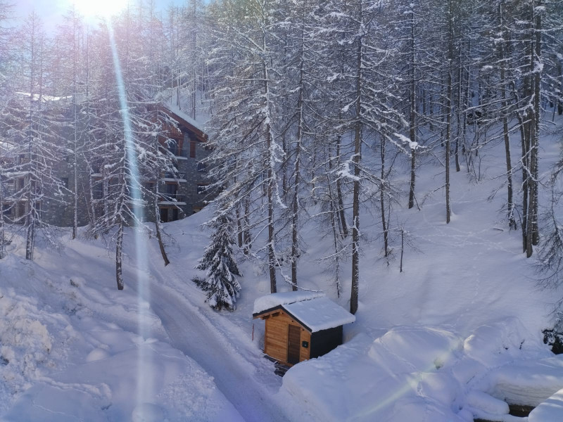 vue-local-a-skis-17545868